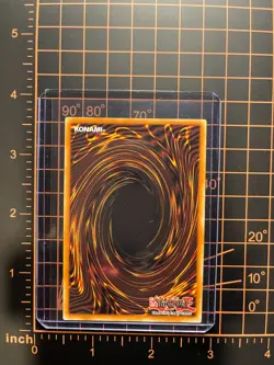 Yugioh Amazoness Augusta MP23-EN223 Ultra Rare Nearmint - Image 2