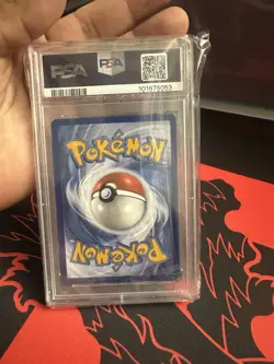 Pokemon Squirtle 148/142 Sv07: Stellar Crown Illustration Rare Holo PSA 10 EN - Image 5