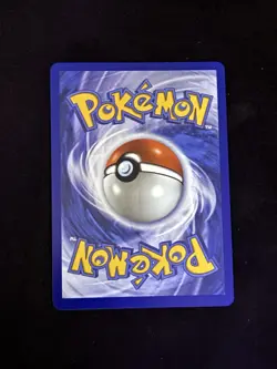 Frogadier IR HoloFoil + Chaos Rising Card Sleeve 089/086 NM EN - Image 5