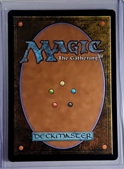 2025 MTG Magic The Gathering FIN Final Fantasy Borderless Foil #364 Summon Anima - Image 2