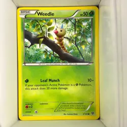 Weedle 3/146, XY Base Set, English - Image 1