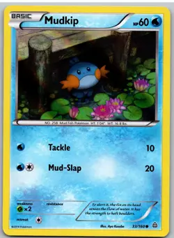 Mudkip 33/160 Common Primal Clash Pokemon Holo - Image 1