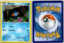Mudkip 33/160 Common Primal Clash Pokemon Holo - Image 3