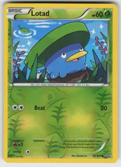 Lotad Reverse Holo Common XY - Primal Clash 10/160 Pokemon - Image 1