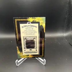 Paul Konerko 2008 Baseball Heroes & Topps Allen & Ginter Mini Relics Lot of 2 - Image 3