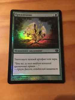 Mtg 9th Edition Naturalize FOIL Russian NM/SP - Image 1