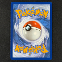 Tyranitar Triple Whammy Collection Tin Promo Card Set + 1 - Pokemon TCG - NM/M - Image 5