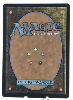 MTG Hexing Squelcher - Goblin Sorcerer, Lorwyn Eclipsed 0145 NM Magic - Image 2