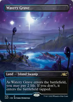 1x Watery Grave ~~ Borderless - Foil NM-Mint, English Unfinity MTG Magic - Image 1