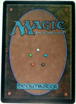 Haliya, Guided by Light #0019 (EOE) Edge of Eternities Rare MTG - Image 2