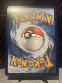 Boltund V SWSH219 JUMBO OVERSIZED Black Star Promo Pokemon Card - Image 2