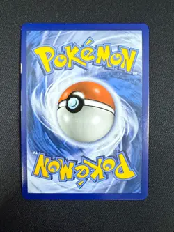 MPidgeot EX 65/108 - XY Evolutions (Pokemon) MP - Image 2