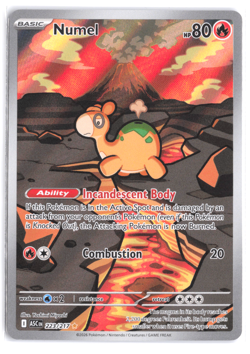 Numel 223/217 Me: Ascended Heroes Holo Illustration Rare English Pokemon TCG - Image 1