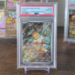 Pokemon Eevee SVP Promo 173 PSA 10 2025 English Holo Sv: Scarlet & Violet - Image 1