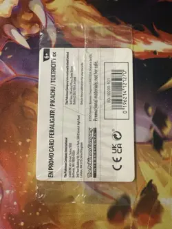 Pokemon TCG - Illustration Contest 2024 - Pokemon Center Promo - SEALED MINT - Image 3