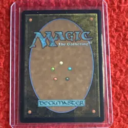 Wizards of the Coast Hushwood Verge Rare Land 261 Duskmourn 2024 English - Image 2