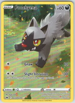 Poochyena GG33/GG70 Holo Crown Zenith Galarian Gallery Pokemon NM - Image 1