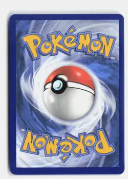 Noctowl 141 HOLO Promo Scarlet & Violet Promo Pokemon Holo NM Tetsu Kayama - Image 2