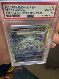 Pokemon Terapagos ex 170/142 Stellar Crown SV07 EN SIR Holo PSA 10 - Image 2