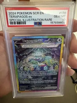 Pokemon Terapagos ex 170/142 Stellar Crown SV07 EN SIR Holo PSA 10 - Image 4