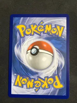 Pokemon TCG Mega Gengar EX 073 Black Star Promo Mega Moonlit Tin NM - Image 2