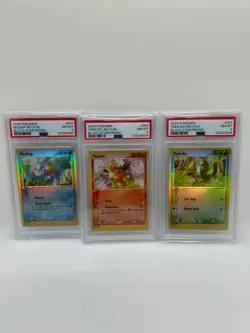 Pokemon Treecko 003, Torchic 008, Mudkip 010 Black Star PSA 8 Promo Set Reverse - Image 1