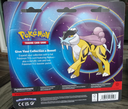 NEW SEALED POKEMON TCG RAIKOU 2 PACK BLISTER MEGA EVOLUTION & PHANTASMAL FLAMES - Image 3