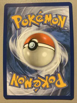 Pokemon Center Stamped Charcadet Black Star Promo Mega 022 NM Condition - Image 4