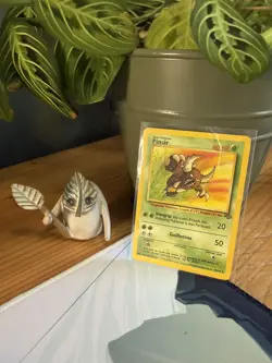 Pokemon TCG Pinsir Jungle Card 25/64 Unlimited Non-Holo, WOTC ✨ - Image 1