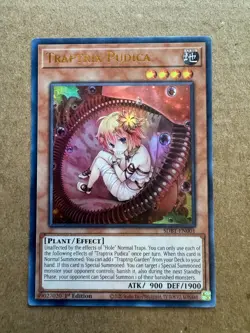 Traptrix Pudica SDBT-EN001 Structure Deck: Beware of Traptrix 1st Yugioh LP - Image 1