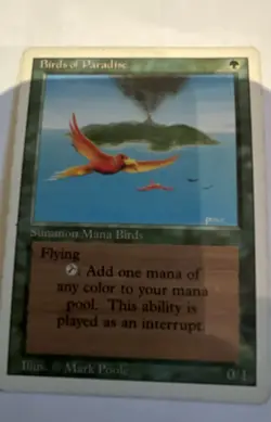 Birds of Paradise Revised Edition Regular - Image 1