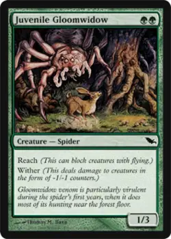 Juvenile Gloomwidow - Medium Play MTG Shadowmoor - Image 1