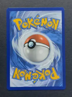 Lana's Aid 207/167 Twilight Masquerade Pokemon TCG NM - Image 2