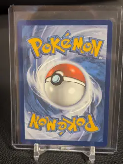 Litten - 167/162 - Illustration Rare Near Mint Pokemon - Image 2