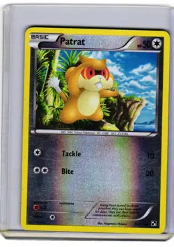 Pokemon Black and White Patrat (77) #77/114 Common,Reverse Holo Lightly played - Image 1