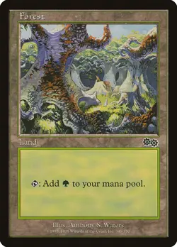 MTG Forest (348) ** Urza's Saga ** English (NM) - Image 1