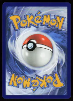 Lileep 5/142 Common Stellar Crown Pokemon Near Mint - Image 2