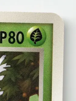 TROPIUS 015/083 RARE UNDONE SEAL POKEMON JAPANESE LIGHTLY PLAYED - Image 4