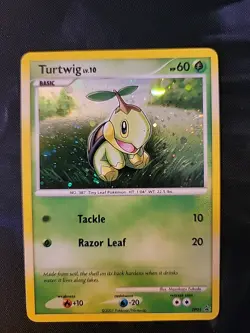 Pokemon Turtwig DP01 Black Star Diamond & Pearl Promo MP Condition - Image 1
