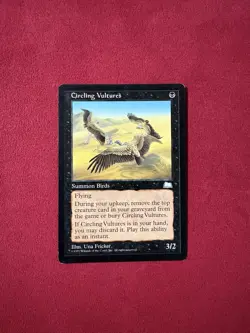 Circling Vultures - Weatherlight Vintage Magic The Gathering MTG Classic - Image 1