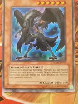 Rgbt-en013 Blackwing Elphin The Raven Ultra Yugioh - Image 2