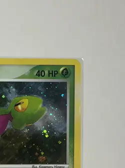 Pokemon Treecko 016 Nintendo Promo Holo Rare - Image 3