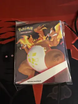 Sealed Charizard & Pikachu Mini Portfolio Holds 60 Cards VMax Gigantamax Binder - Image 1