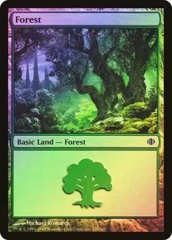 MTG FOIL Forest - Shards of Alara #249 - Image 1