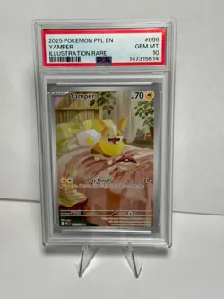 Pokemon PFL EN-Phantasmal Flames Yamper Illustration Rare - PSA 10 GEM MINT - Image 1