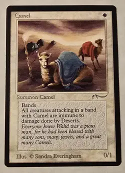 MTG Camel Arabian Nights NM - Image 2