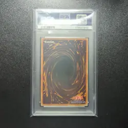 YuGiOh PSA 10 Dark Paladin Secret Rare Japan Limited Collector Card - Image 2