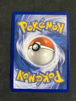 Black Belts Training 255/217 IR - Pokemon TCG: Ascended Heroes English - Image 2