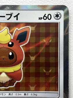 Poncho Wearing Eevee Flareon 139/SM-P Promo Japanese Pokemon Card Holo 2017 - Image 3