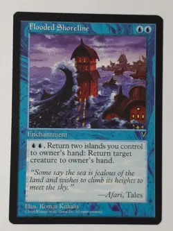 Flooded Shoreline Vision Regular - Image 1